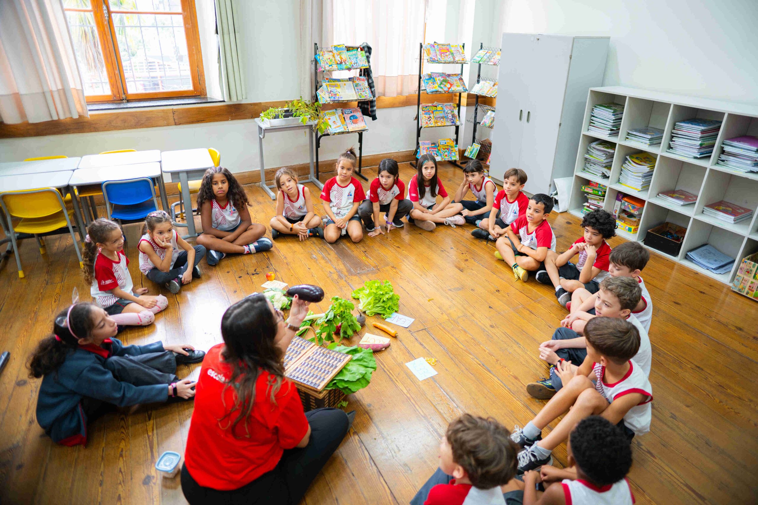 proposta pedagogica